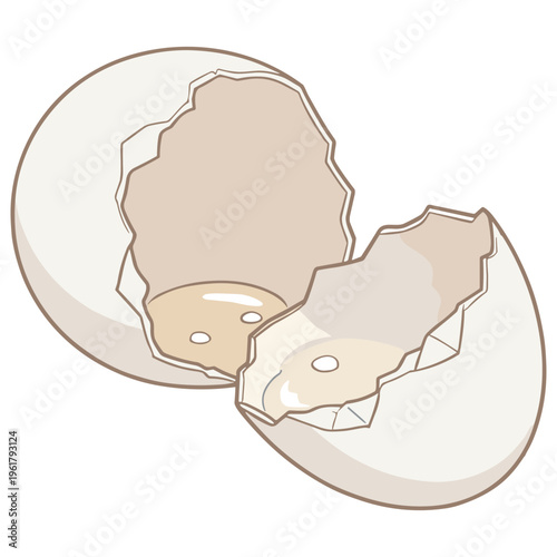 Cracked eggshell reveals yellow yolk contents on white background