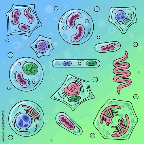 A vibrant collection of diverse cell types, showcasing various organelles and cellular structures in a stylized, illustrative manner against a gradient background.
