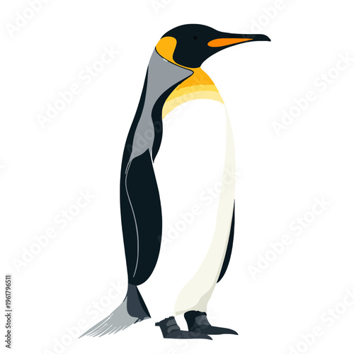 King Penguin Illustration Isolated - Vector Portrait Standing on White Background. Antarctic Bird with Black, White and Yellow Plumage. Wild Animal in Natural Habitat. 2D Wildlife Drawing