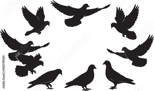 Flying pigeon silhouettes set, black bird vector icons in various poses, 10 dove elements for peace and wedding design, isolated bird shapes