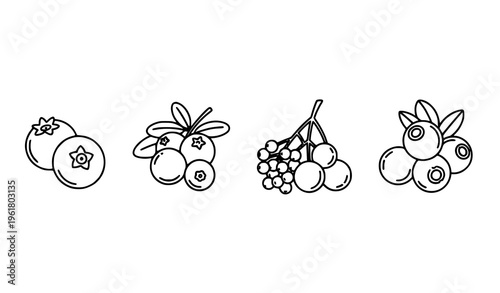 Berry thin line icon set blueberry cranberry elderberry vector