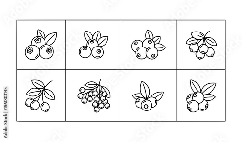 Thin line berry icons collection blueberry cranberry vector set