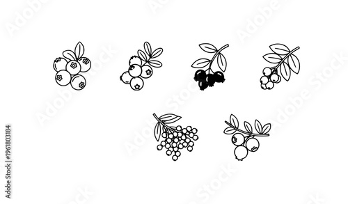 Berry thin line icons in frames blueberry cranberry vector set
