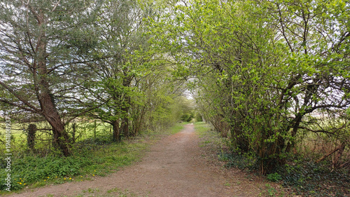 Sentier dans le bocage au printemps
