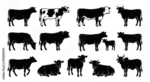 Cow silhouette set containing standing bull, grazing cow, mother with calf, lying down, side profile. Black and white vector illustrations for farm, agriculture, livestock industry branding.
