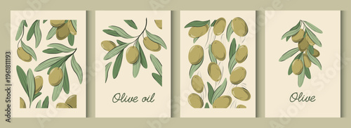 Set of olive posters. Vector illustration.
