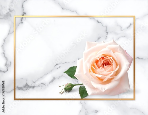 A light pink rose in a gold frame on marble