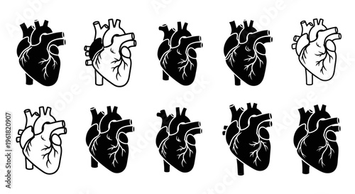 The set of black and white human heart illustrations shows various anatomical views.