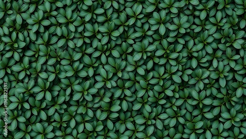 privet. Tightly packed pattern of deep green oval privet leaves, textured orderly surface. gardening catalogs, home-decor guides, designed for gardening and botanical catalogs.
