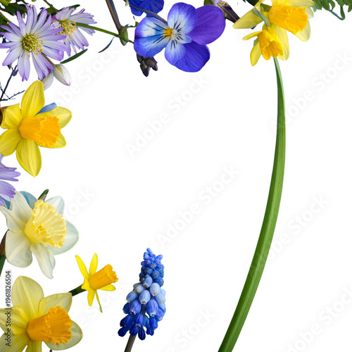 Beautiful floral illustration on a white background.