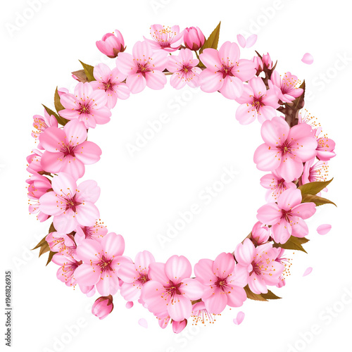 Cherry blossoms bloom beautifully in spring, standing out with their pink petals and blossoming branches.