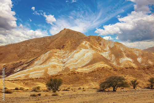 Cuadro en lienzo Mountain landscape. Negev desert. Israel