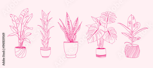 Hand-drawn set of potted tropical houseplants in pink line art on light background.