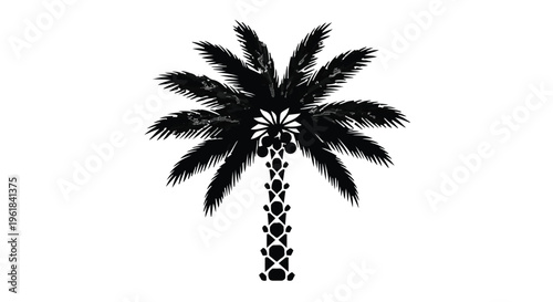 Striking black and white silhouette of a palm tree against a white background, evoking tropical vibes.