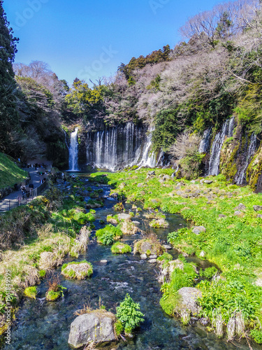 Wallpaper Mural 【静岡県】富士宮市・白糸の滝 Torontodigital.ca