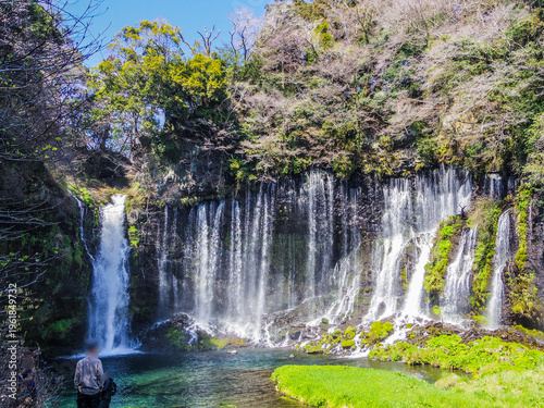 Wallpaper Mural 【静岡県】富士宮市・白糸の滝 Torontodigital.ca