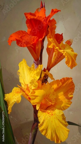 A vibrant flower with orange and yellow petals