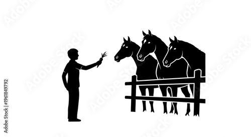 Man feeding horses over fence.