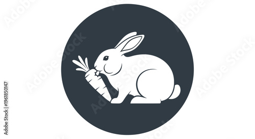 A white rabbit eating a carrot.