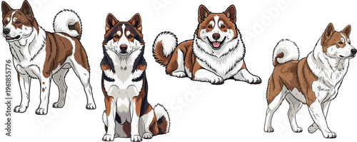 Thai Bangkaew Dog sitting standing walking lying down front pose set