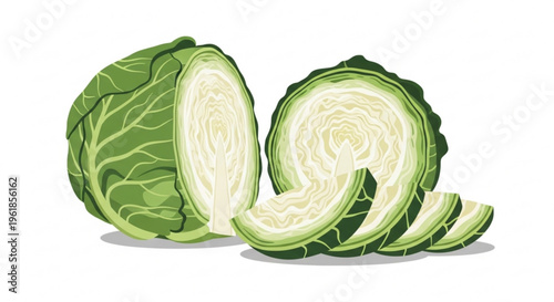 Green cabbage cut into slices and halves on white background fresh vegetable for salad or cooking