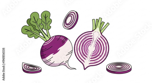 Purple turnip vegetables with green leaves and slices on white background for food and nutrition concepts