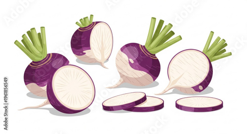Fresh purple turnips with green tops sliced and whole on white background for food and cooking concepts