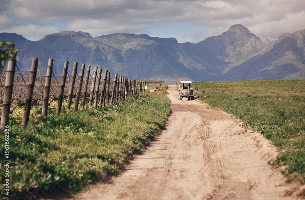 Fototapeta premium Field, vineyard or tractor on dirt road in countryside for agriculture, soil management or cultivation. Nature, farmland or vehicle in natural environment for plowing, farming production or operation