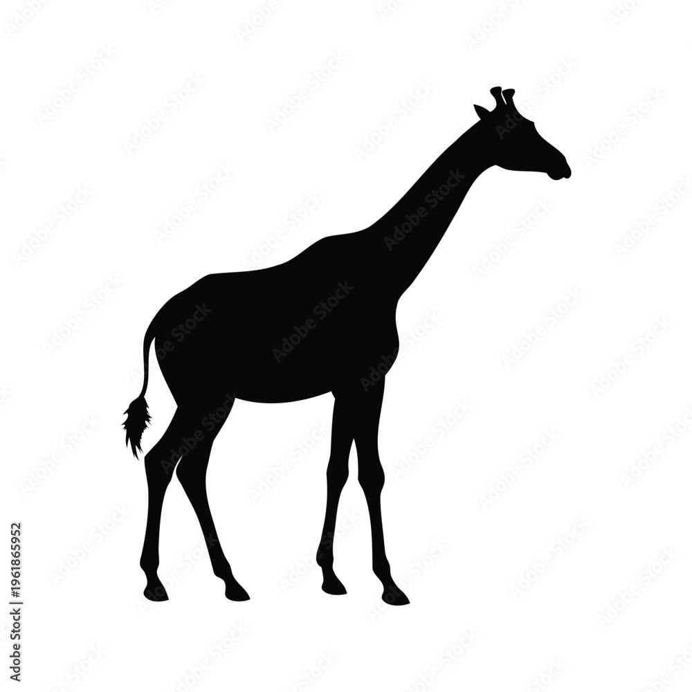 Fototapeta premium silhouette of giraffe standing with long neck and legs silhouette vector illustration, giraffe profile view silhouette vector illustration