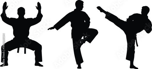 Martial arts silhouettes, karate poses, taekwondo stances, kung fu moves, self defense training, fitness exercise, combat sport, discipline