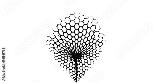 Intricate hexagonal pattern radiating outwards from a central point, creating a futuristic and scientific visual.