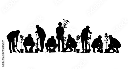 People planting trees in a community gardening project