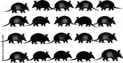 Pattern of armadillo silhouettes arranged in rows, side profile with segmented armor and long tails, repetitive wildlife illustration concept for educational and artistic design projects
