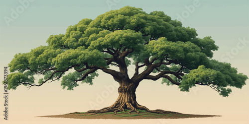 Lonely tree standing on a sandy beach landscape under a wide sky