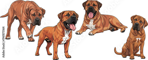 Tosa Inu dog standing sitting lying down walking happy panting pose set