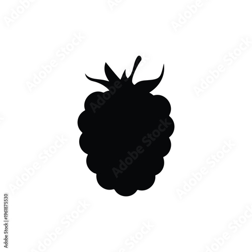 Berry fruit silhouette icon vector flat design.
