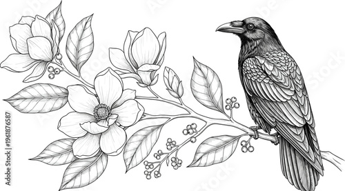 Bird on flowering branch illustration, detailed black and white design with magnolia flowers, leaves, and perched bird - flat vector illustration