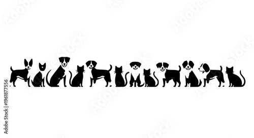 Dogs and cats lineup vector illustration with different pet breeds standing together isolated on white background
