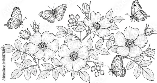 Botanical flower illustration, blooming nature design, butterfly art concept, decorative foliage graphic, organic plant symbol, detailed floral style, black-and-white vector illustration