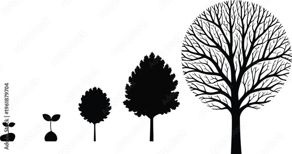 Fototapeta premium set of trees