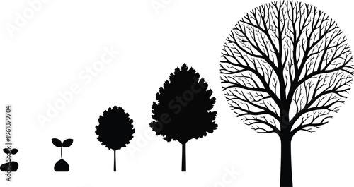 set of trees