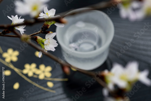 桜と日本酒の花見酒