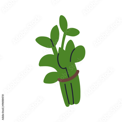 Green leaf herbs in bunch, tied bundle. Natural organic greens. Leaves, fresh...