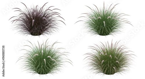 Four clusters of small purple and green plants growing in a row isolated on transparent background