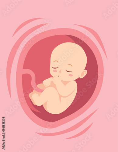 baby in the womb vector illustration