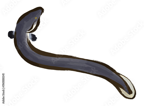 水彩風、筆タッチの上向きポーズのうなぎのイラスト