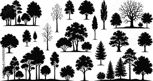 Collection of tree silhouettes, vector illustration of coniferous, deciduous, palm, broadleaf trees with varied foliage styles, flat vector illustration