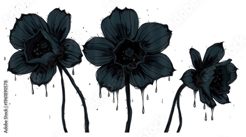 PNG black flowers with dripping paint isolated on transparent background