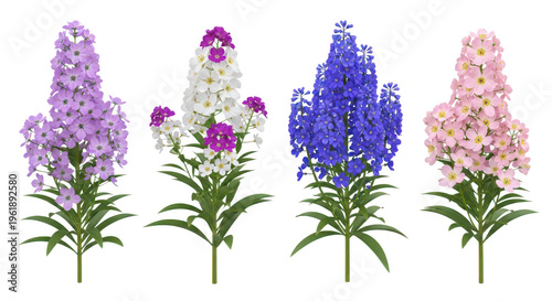 Four vibrant flowers with delicate petals arranged in a row isolated on transparent background
