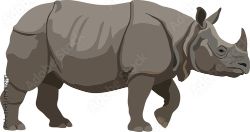 Animals Illustration